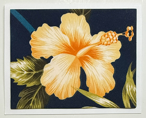 FabriCard Art Card (FC-6646) 5.5" W  x  4.25" H