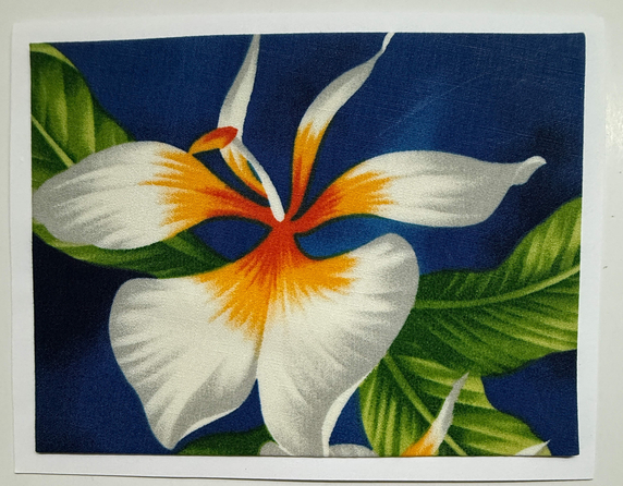 FabriCard Art Card (FC-6652) 5.5" W  x  4.25" H