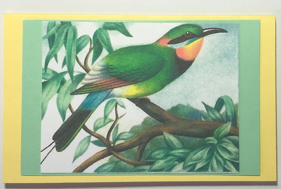 Gift Enclosure Art Card (GE-5355) 4" W  x  2.25" H