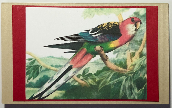 Gift Enclosure Art Card (GE-5362) 4" W  x  2.25" H