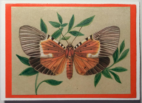 Gift Enclosure Art Card (GE-5375) 3.5" W  x  2.5" H