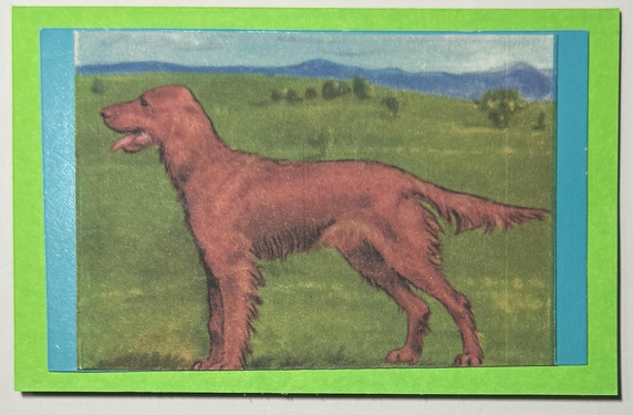 Gift Enclosure Art Card (GE-5409) 4" W  x  2.25" H