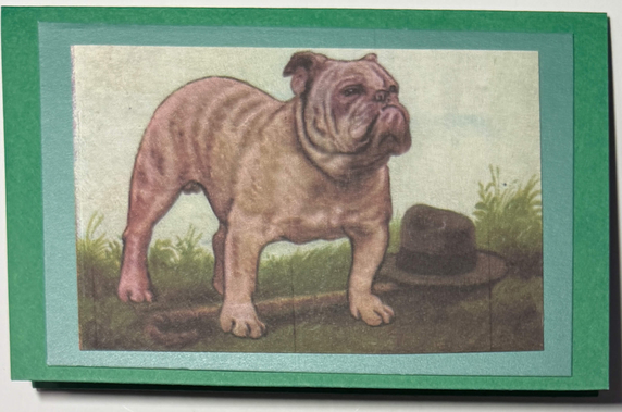 Gift Enclosure Art Card (GE-5411) 4" W  x  2.25" H