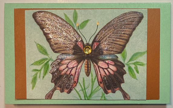 Gift Enclosure Art Card (GE-5425) 4" W  x  2.25" H
