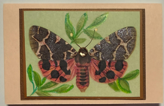 Gift Enclosure Art Card (GE-5429) 4" W  x  2.25" H