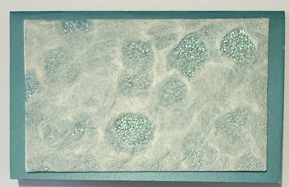 Gift Enclosure Art Card (GE-5549) 4" W  x  2.25" H