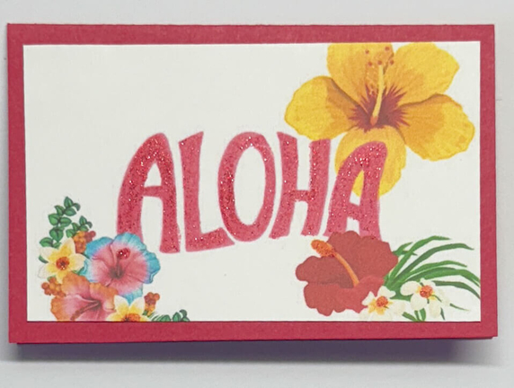 Gift Enclosure Art Card (GE-5579) 4" W  x  2.25" H