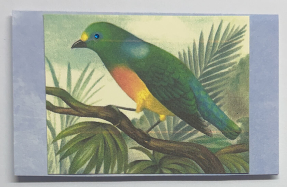 Gift Enclosure Art Card (GE-5587) 4" W  x  2.25" H