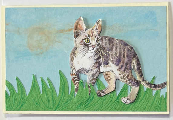 Gift Enclosure Art Card (GE-5702) 4" W  x  2.25" H