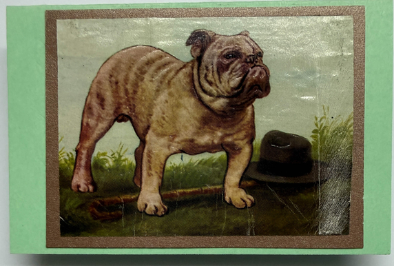 Gift Enclosure Art Card (GE-5710) 4" W  x  2.25" H