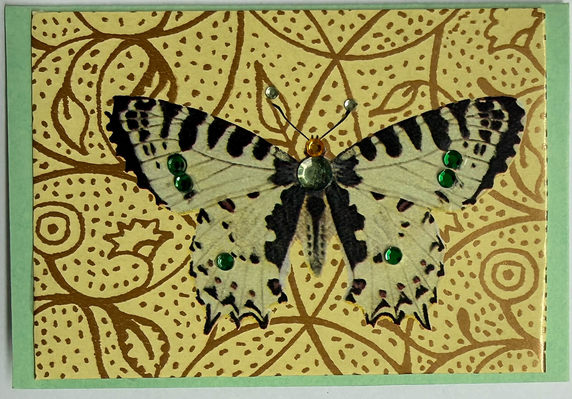 Gift Enclosure Art Card (GE-5719) 4" W x 2.25" H Gift Enclosure Art Card (GE-5719) 4" W x 2.25" H