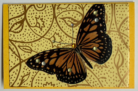 Gift Enclosure Art Card (GE-5723) 4" W  x  2.25" H