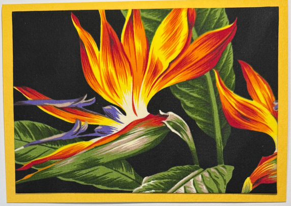 Large Format Art Card (LF-0392) 7" W  x  5" H