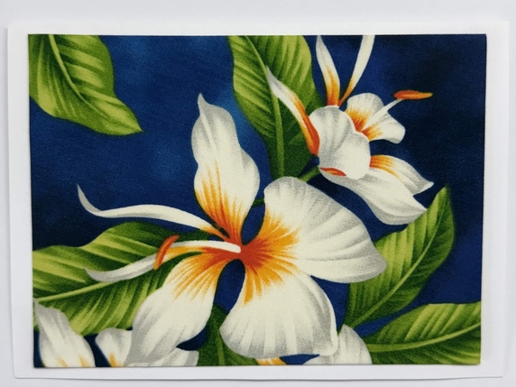 Large Format Art Card (LF-0419) 7" W x 5" H Large Format Art Card (LF-0419) 7" W x 5" H