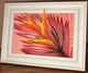 Framed Art  FA-0273, 8.75" W  x  6.75" H