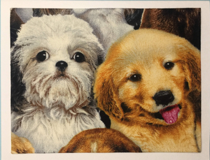 FabriCard Art Card  FC-4998, 5.5" W  x  4.25" H FabriCard Art Card  FC-4998, 5.5" W  x  4.25" H