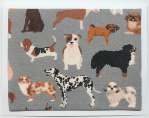 FabriCard Art Card (FC-5664) 5.5" W  x  4.25" H