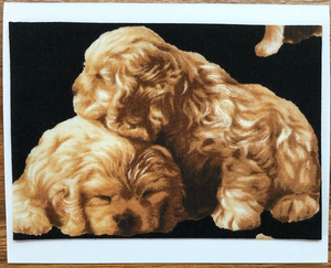 FabriCard Art Card (FC-5875) 5.5" W  x  4.25" H FabriCard Art Card (FC-5875) 5.5" W  x  4.25" H