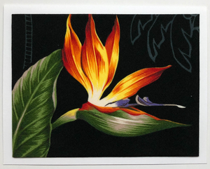 FabriCard Art Card (FC-6021) 5.5" W  x  4.25" H