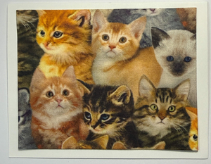 FabriCard Art Card (FC-6717) 5.5" W  x  4.25" H