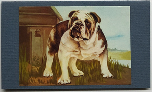 Gift Enclosure Art Card (GE-4484) 4" W  x  2.25" H