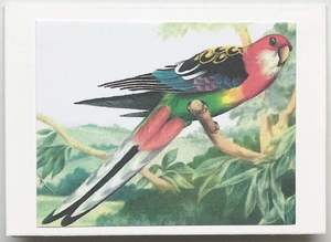 Gift Enclosure Art Card (GE-4552) 3.5" W  x  2.5" H