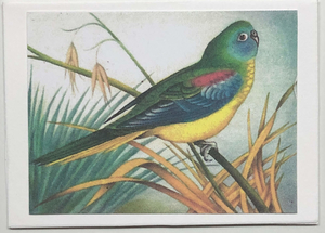 Gift Enclosure Art Card (GE-4553) 3.5" W  x  2.5" H