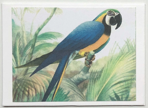 Gift Enclosure Art Card (GE-4554) 3.5" W  x  2.5" H