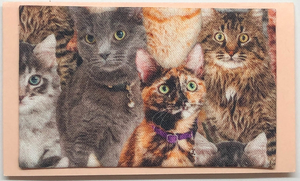 Gift Enclosure Art Card (GE-4564) 4" W  x  2.25" H