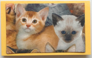 Gift Enclosure Art Card (GE-4565) 4" W  x  2.25" H