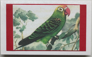 Gift Enclosure Art Card (GE-4722) 4" W  x  2.25" H