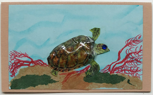 Gift Enclosure Art Card (GE-4762) 4" W  x  2.25" H Gift Enclosure Art Card (GE-4762) 4" W  x  2.25" H