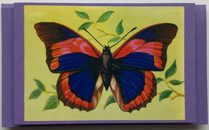 Gift Enclosure Art Card (GE-4873) 4" W  x  2.25" H