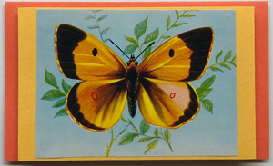 Gift Enclosure Art Card (GE-4874) 4" W  x  2.25" H