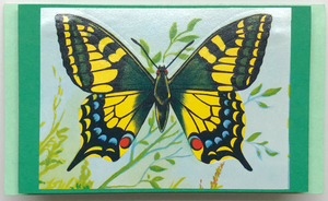 Gift Enclosure Art Card (GE-4875) 2.25" W  x  4" H