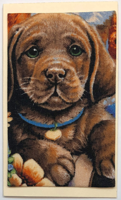 Gift Enclosure Art Card (GE-4990) 4" W  x  2.25" H