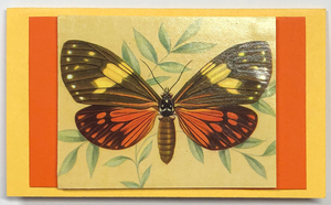 Gift Enclosure Art Card (GE-5151) 4" W  x  2.25" H