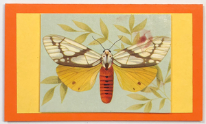 Gift Enclosure Art Card (GE-5152) 4" W  x  2.25" H