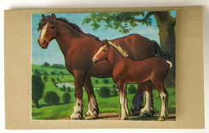 Gift Enclosure Art Card (GE-5168) 4" W  x  2.25" H