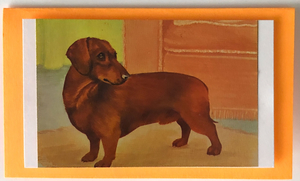 Gift Enclosure Art Card (GE-5171) 4" W  x  2.25" H