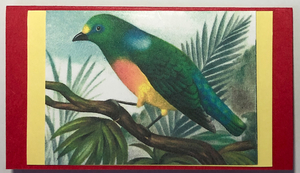 Gift Enclosure Art Card (GE-5354) 4" W  x  2.25" H