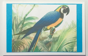 Gift Enclosure Art Card (GE-5356) 4" W  x  2.25" H