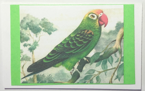 Gift Enclosure Art Card (GE-5359) 4" W  x  2.25" H