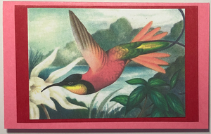 Gift Enclosure Art Card (GE-5366) 4" W  x  2.25" H