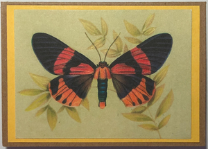 Gift Enclosure Art Card (GE-5368) 3.5" W  x  2.5" H