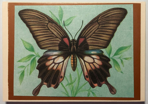 Gift Enclosure Art Card (GE-5373) 3.5" W  x  2.5" H