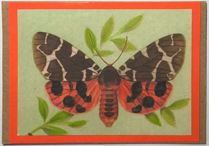 Gift Enclosure Art Card (GE-5374) 3.5" W  x  2.5" H