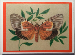 Gift Enclosure Art Card (GE-5375) 3.5" W  x  2.5" H