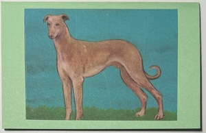 Gift Enclosure Art Card (GE-5410) 4" W  x  2.25" H