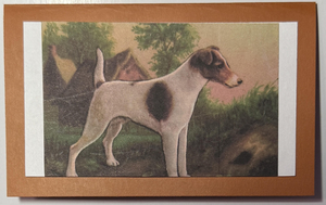 Gift Enclosure Art Card (GE-5412) 4" W  x  2.25" H Gift Enclosure Art Card (GE-5412) 4" W  x  2.25" H